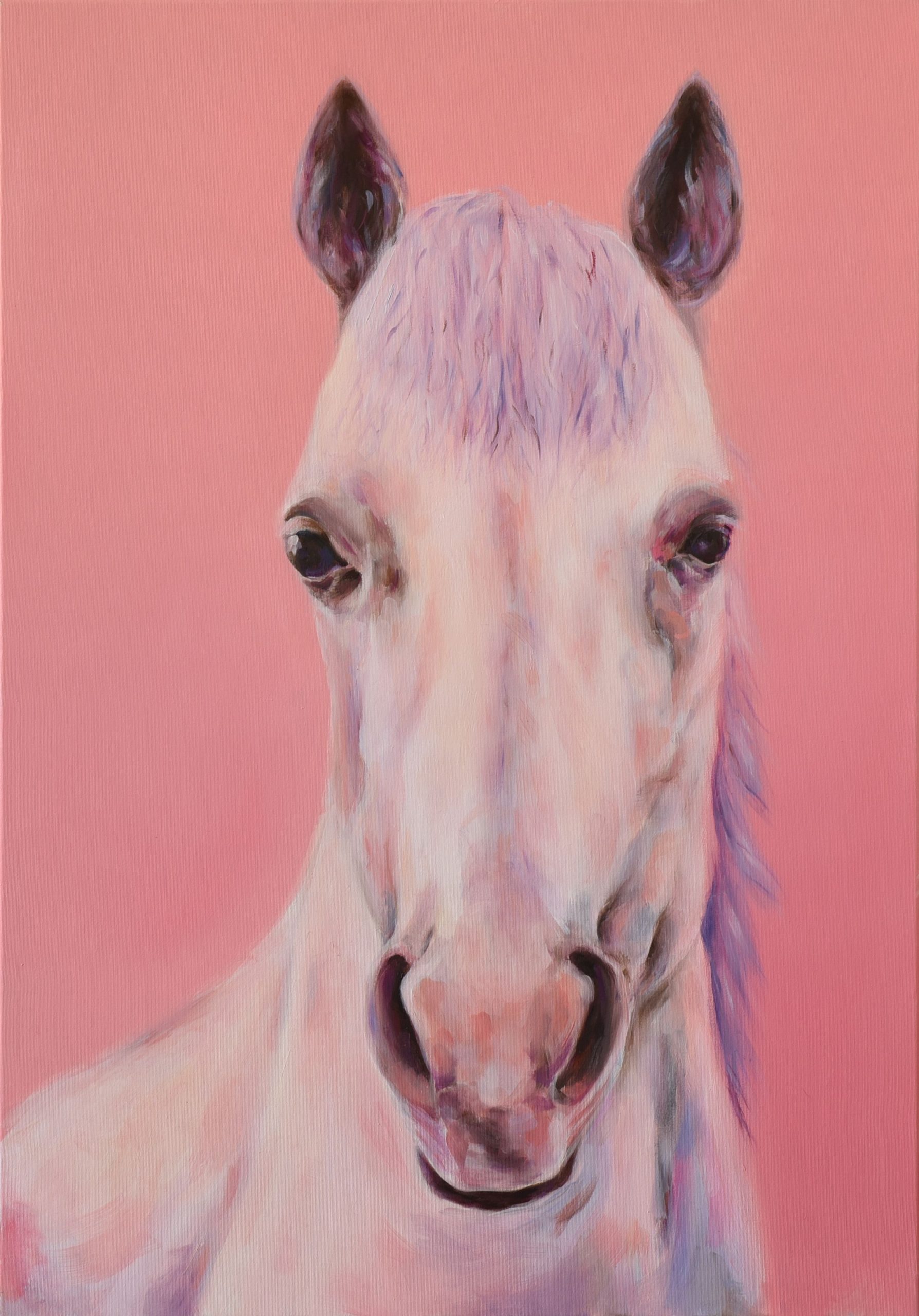 Identitás Határain Ló by Peruzzi Boglár