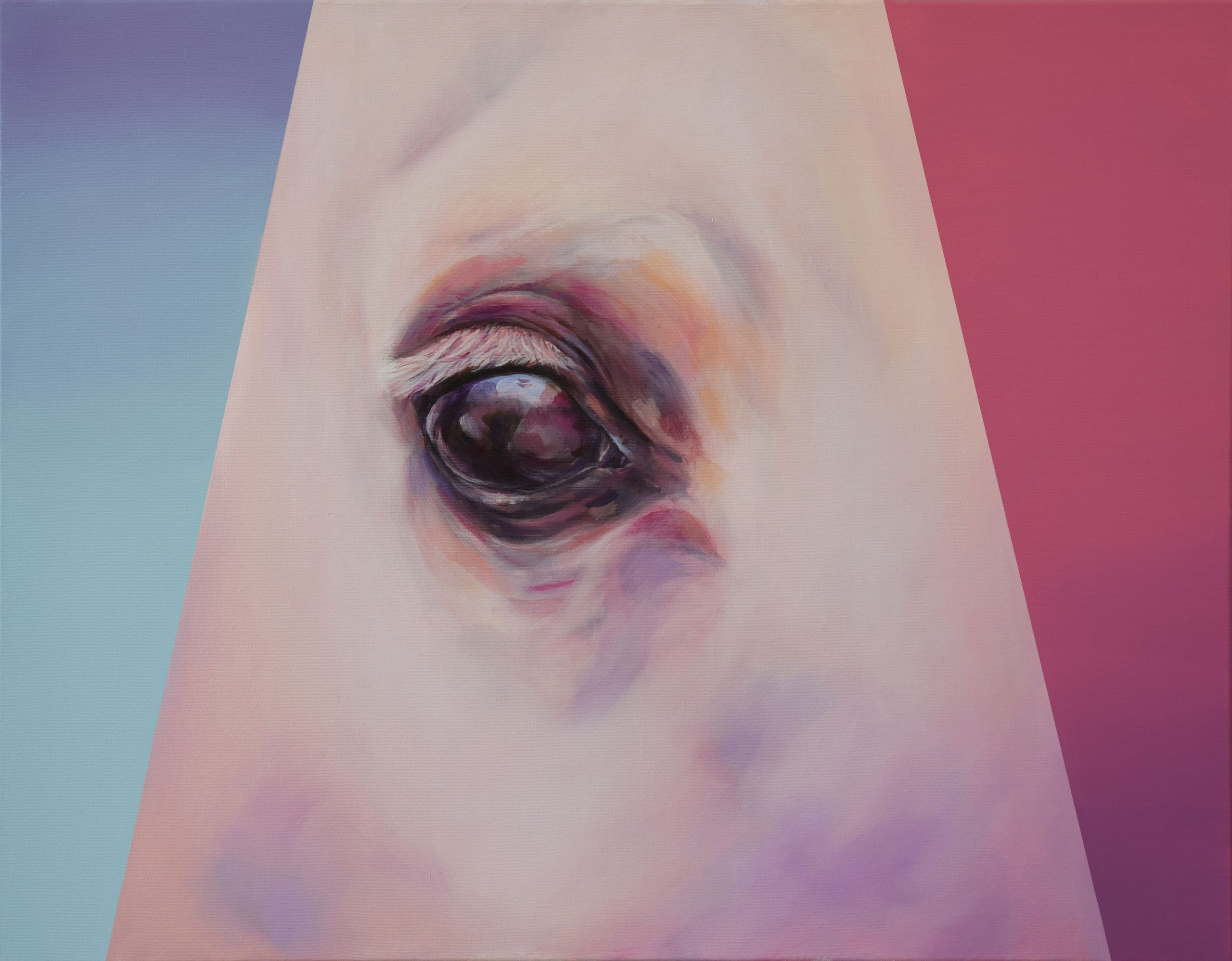 Identitás Tükrében Lószem by Peruzzi Boglár